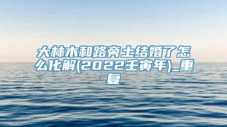 大林木和路旁土结婚了怎么化解(2022壬寅年)_重复