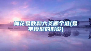 梅花易数和六爻哪个准(易学模型的假设)