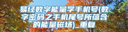 易经数字能量学手机号(数字密码之手机尾号所蕴含的能量磁场)_重复