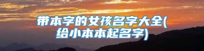 带本字的女孩名字大全(给小本本起名字)