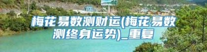 梅花易数测财运(梅花易数测终身运势)_重复