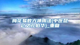 梅花易数六神用法(中医昆仑之孔伯华)_重复