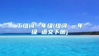 丁组词一年级(组词 一年级 语文下册)