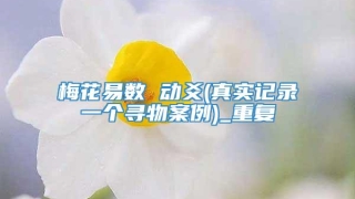 梅花易数 动爻(真实记录一个寻物案例)_重复