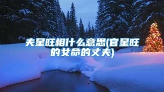 夫星旺相什么意思(官星旺的女命的丈夫)