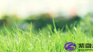 金铂金命和路旁土命命吗？会相克吗