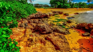 比较吸引人的游戏名字(英语名字游戏)