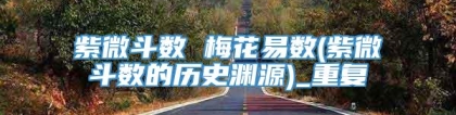 紫微斗数 梅花易数(紫微斗数的历史渊源)_重复