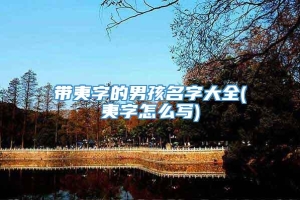 带夷字的男孩名字大全(夷字怎么写)