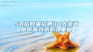 58招财猫招聘(10大渠道助你高效求职)_重复