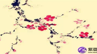 鼻梁子长痣好吗(鼻子上长痣面相图)