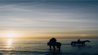离婚女人梦见前夫和儿子(梦见离婚的前妻和儿子)