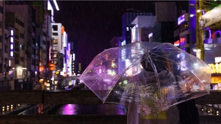 曾仕强六爻起卦方法(曾仕强易经的智慧夬卦下)