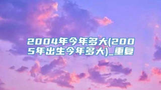 2004年今年多大(2005年出生今年多大)_重复