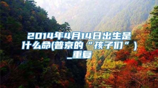 2014年4月14日出生是什么命(普京的“孩子们”)_重复