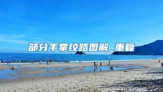 部分手掌纹路图解_重复