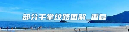 部分手掌纹路图解_重复