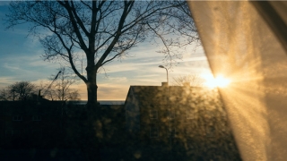 71属猪2021年有一灾(2019金猪年)_重复