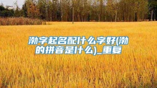 渤字起名配什么字好(渤的拼音是什么)_重复