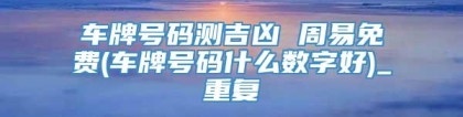 车牌号码测吉凶 周易免费(车牌号码什么数字好)_重复