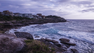 独出心裁是什么意思(独出心裁是形容什么的)