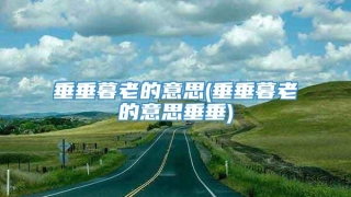 垂垂暮老的意思(垂垂暮老的意思垂垂)