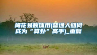 梅花易数体用(普通人如何成为“算卦”高手)_重复