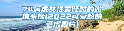 74属虎女性最旺财的微信头像(2022可爱超萌老虎图片)