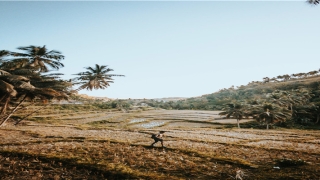 梦到老公非常坚决的要离婚(梦见自己和老公闹别扭想要离婚)