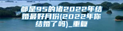 都是95的猪2022年结婚最好月份(2022年你结婚了吗)_重复