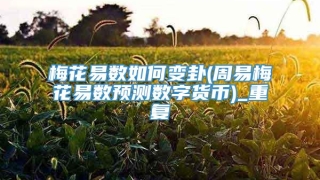 梅花易数如何变卦(周易梅花易数预测数字货币)_重复