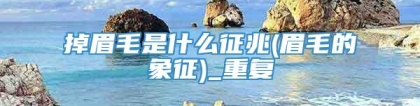 掉眉毛是什么征兆(眉毛的象征)_重复