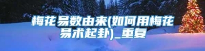 梅花易数由来(如何用梅花易术起卦)_重复