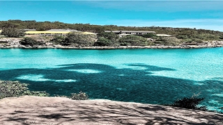 男人眉毛有痣(眉毛好的男人)