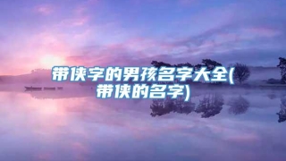 带侠字的男孩名字大全(带侠的名字)