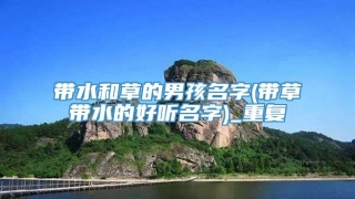 带水和草的男孩名字(带草带水的好听名字)_重复