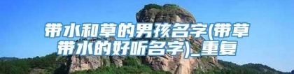 带水和草的男孩名字(带草带水的好听名字)_重复