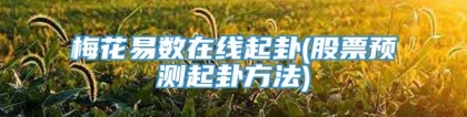 梅花易数在线起卦(股票预测起卦方法)