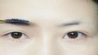 面相眉毛淡的人命运怎么样？(眉毛很淡的人的面相)