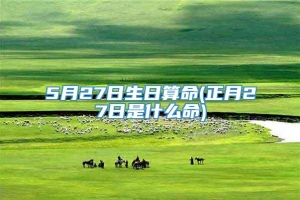 5月27日生日算命(正月27日是什么命)