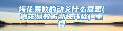 梅花易数的动爻什么意思(梅花易数占断诀浅谈)_重复