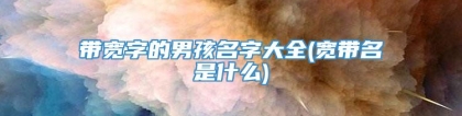 带宽字的男孩名字大全(宽带名是什么)