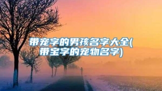 带宠字的男孩名字大全(带宝字的宠物名字)