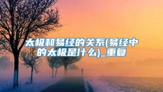 太极和易经的关系(易经中的太极是什么)_重复