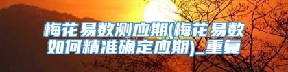 梅花易数测应期(梅花易数如何精准确定应期)_重复