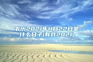 农历2021年11月22日是什么日子(有戏2021)