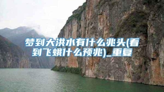 梦到大洪水有什么兆头(看到飞蛾什么预兆)_重复