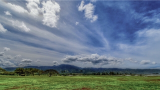 八字测财富程度(八字命局中的财富)