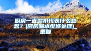 厨房一直漏水代表什么意思？(厨房漏水维修处理)_重复