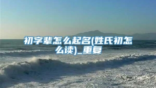 初字辈怎么起名(姓氏初怎么读)_重复